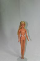 004 - Francie doll