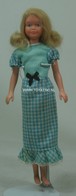 005 - Skipper doll