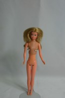 011 - Skipper doll