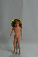 017 - Skipper doll