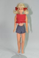 018 - Skipper doll