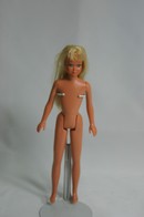 032 - Skipper doll